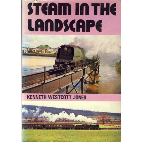 Steam in the Landscape